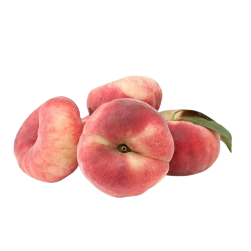 خوخ مدور اردني علبة